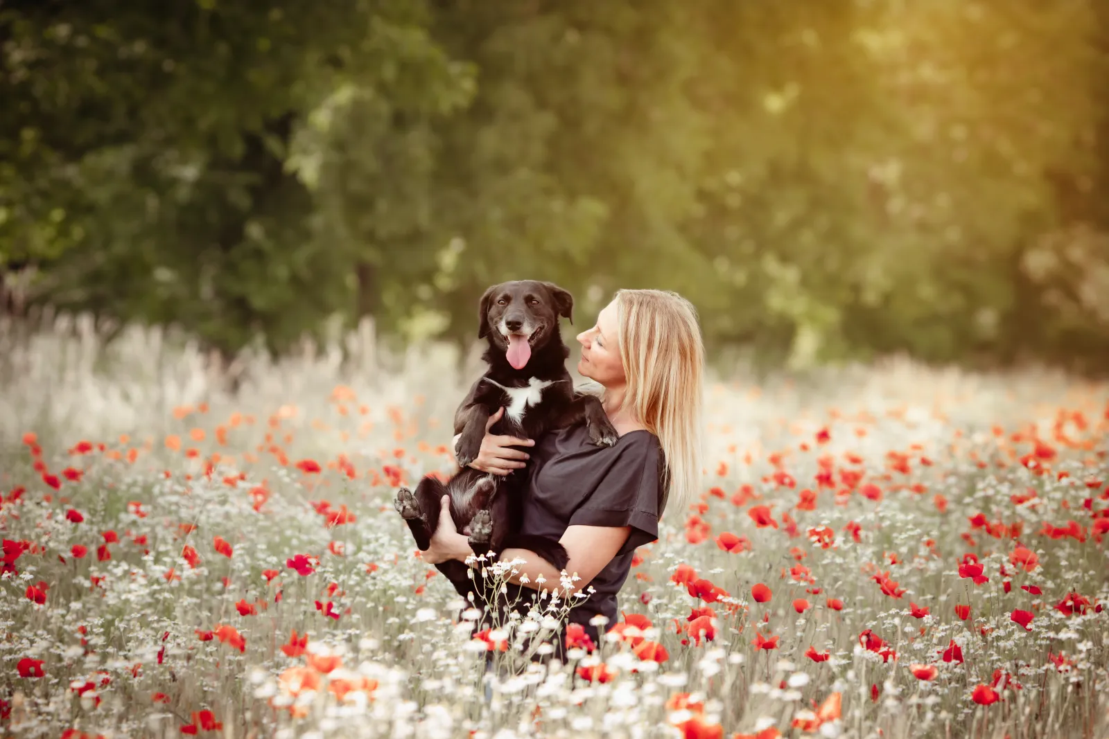 Connie Calisei con il suo cane Blacky in un campo di papaveri