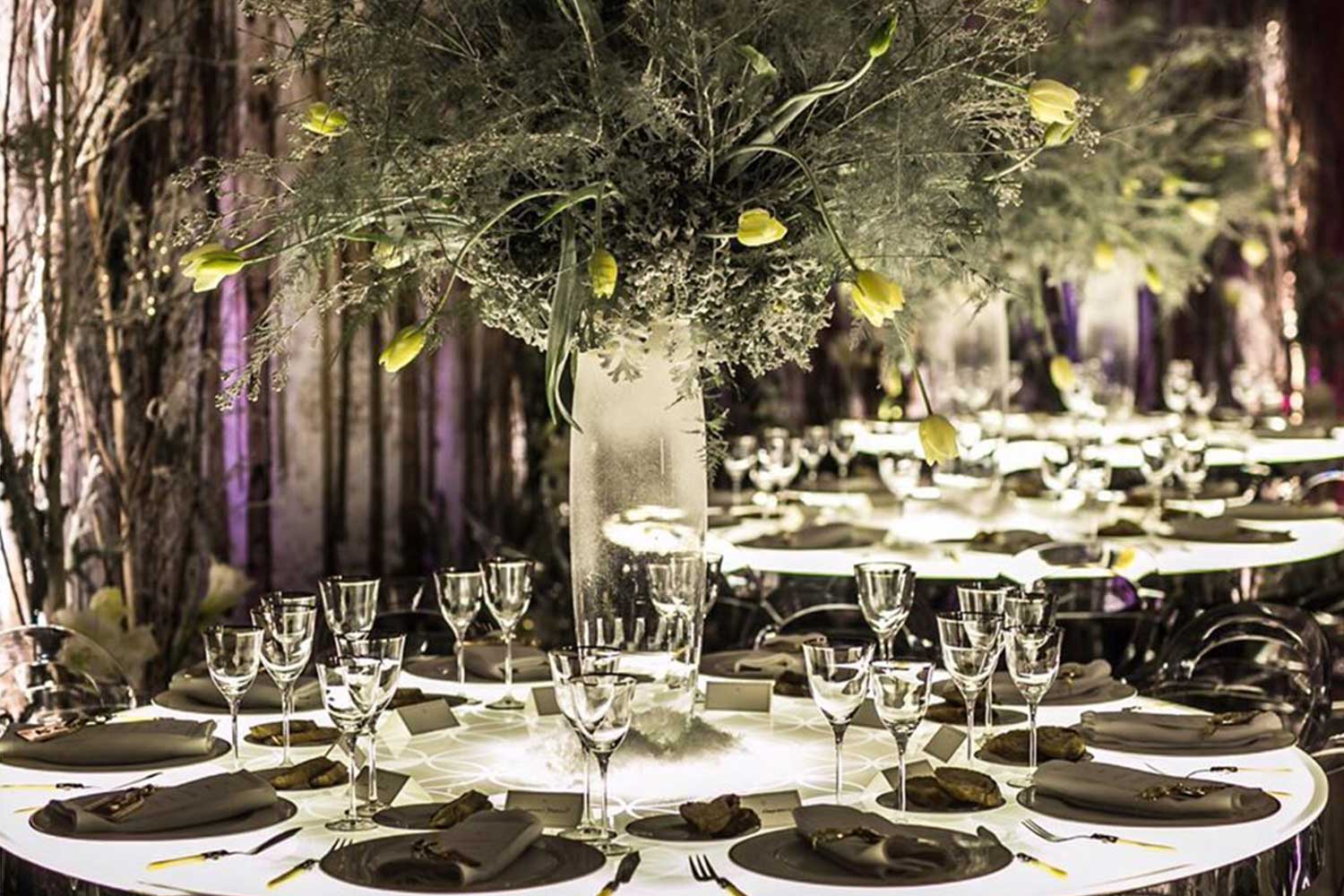 party-planner-4
